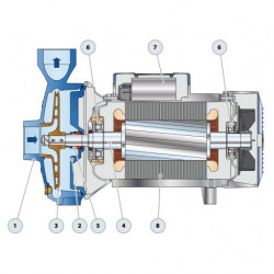 Pompe a eau Pedrollo CP 220-250 centrifuge de 18 à 42 m3/h triphasé 380V