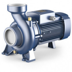 Pompe a eau Pedrollo HF centrifuge de 25 à 110 m3/h triphasé 380V