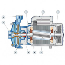Pompe a eau Pedrollo 2CP 25 centrifuge de 3 à 7 m3/h triphasé 380V
