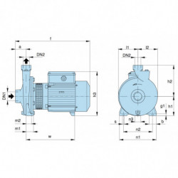 Pompe a eau Calpeda NM centrifuge taraudée de 1 à 8,4 m3/h monophasé 220V