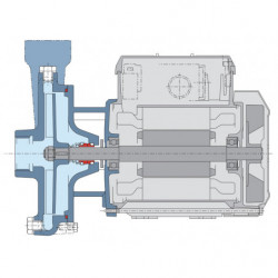 Pompe a eau Calpeda C centrifuge à roue ouverte de 0,6 à 6,6 m3/h monophasé 220V