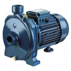 Pompe a eau Ebara CMAA075MGO 0,55 kW centrifuge jusqu'à 5,1 m3/h monophasé 220V