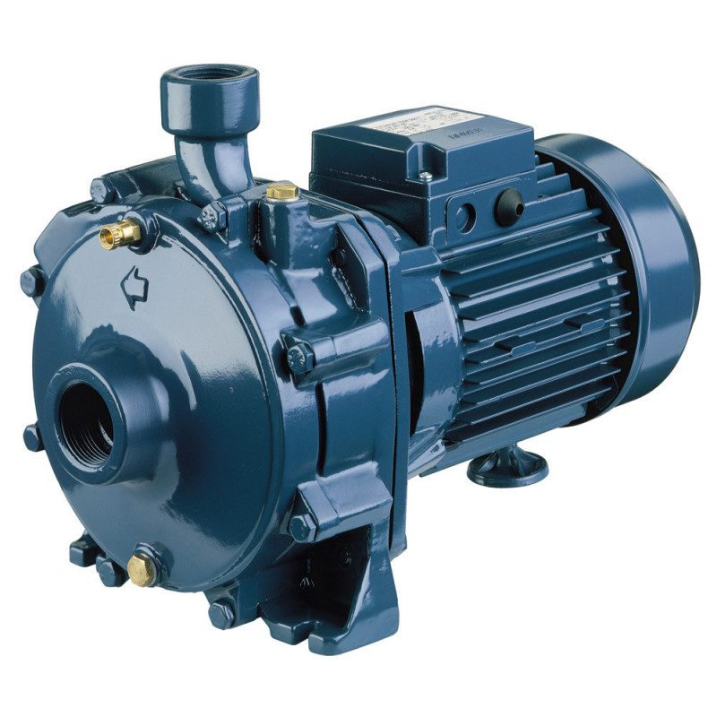 Pompe a eau Ebara CDA100MGO 0,75 kW centrifuge à double roue en fonte jusqu'à 5,4 m3/h monophasé 220V